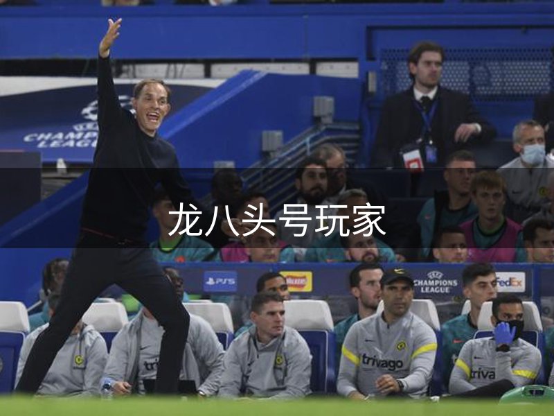 龙八头号玩家概况